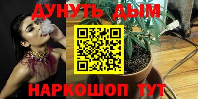 PSILOCYBIN Канаш