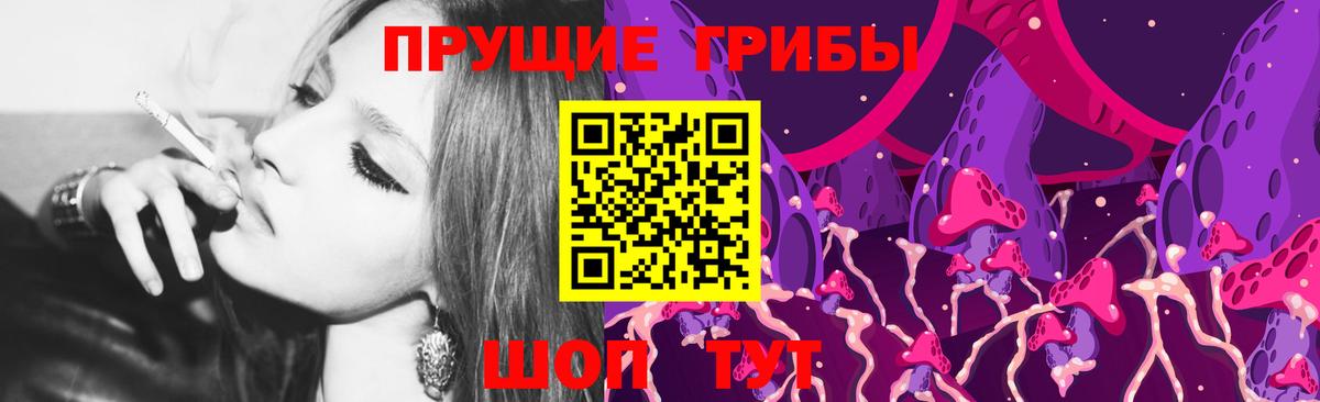 Псилоцибиновые грибы Cubensis  Вход с VPN  Кувандык 